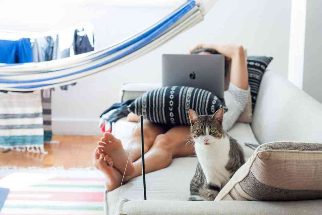 Мужчина лежит на кровати с компьютером и котом